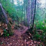 Contributed photo/Rosa Blair                                The biological reserve includes 33 acres on San Juan.