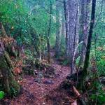 San Juan islanders conserve public land through private donations