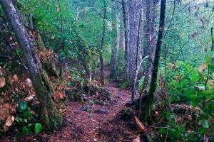 San Juan islanders conserve public land through private donations