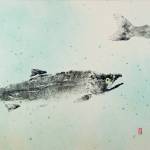 New climate connection found for declining salmon and seabirds