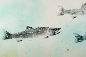 New climate connection found for declining salmon and seabirds