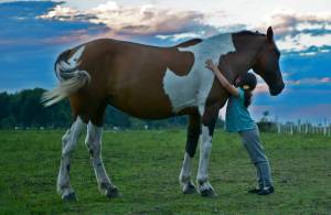 The power of horse hugs