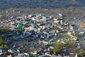 Plastic Free Salish Sea Talking Trash workshop