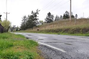 County wins grants for pedestrian paths