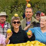 Finding food security