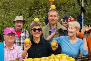 Finding food security