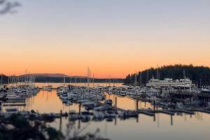 Friday Harbor Marina at sunset (Tate Thomson/staff photo)