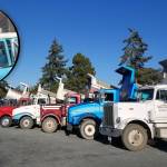 Concourse d’ Elegance