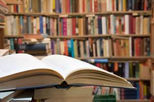Lopez Island Library levy increase ballot measure