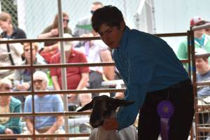Noah Rovente wins at fair