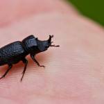 (Cyndi Brast/contributed photo)