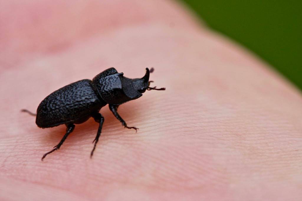 (Cyndi Brast/contributed photo)