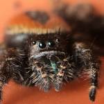 (Cyndi Brast/contributed photo)