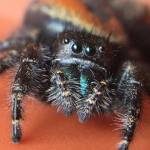 (Cyndi Brast/contributed photo)