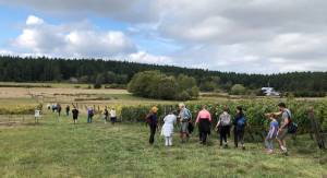 2019 walkabout a success