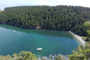 Lopez and Orcas Fire team up for rescue at Watmough Bay