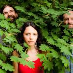 Sway Wild returns to Lopez Center this saturday