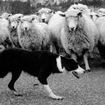 Steve Horn’s photography studio in Lopez Village is closing