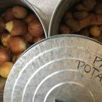 Think Fresh, Eat Fresh: Washington Service Corps Food Security Internship