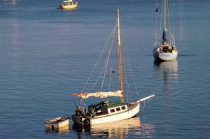Boating green in the Salish Sea. (Mark Gardner/Contributed photo)