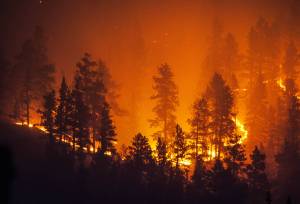 Smoke Filled Forecast for Wildfire Risk