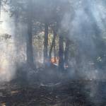 Orcas, Lopez and San Juan Fire team up with DNR for wildfire