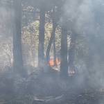 Orcas, Lopez and San Juan Fire team up with DNR for wildfire