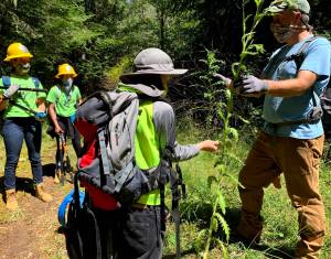 Contributed photo
Youth Conservation Corps in action