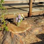 contributed photo/A memorial to the Madrona