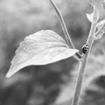 Man Chung, Unsplash photo