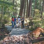 Washington Trail Association workers pose on a trail they are refurbishing in Moran State Park. (Contributed photo)