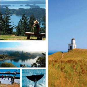 Investing in Environment and Community