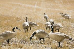 MetroCreative photo.