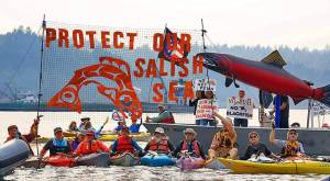 Contributed photo by Wild Fish Conservancy
Protesters for protecting the Salish Sea.