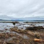 Contributed photo by Friends of the San Juans
Jakles Lagoon on San Juan Island, where the king tides have breached all three lagoons. These lagoons typically have a full bar of sand separating them from the ocean, with a little stream of water going from the lagoon into the ocean.