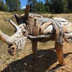 Contributed photo
Woodrow by Joe Treat