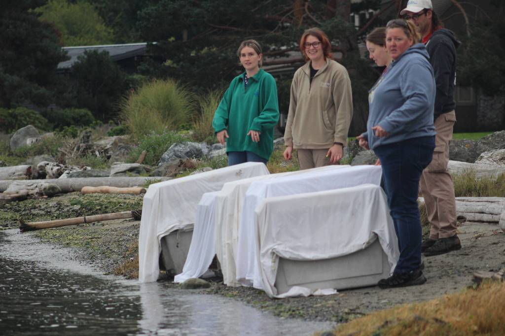 Heather Spaulding \ staff photo
Staff prepares to release the seals.