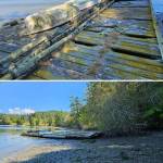 Derelict floats in Blind Bay on Shaw Island, washed ashore onto surf smelt spawning habitat