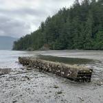 A derelict concrete structure located offshore of the San Juan Conservation Land Banks Judd Cove Preserve on Orcas Island