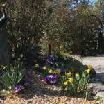 Contributed photo by Rebecca Cook