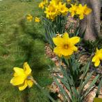 Contributed photo by Rebecca Cook