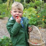 Pebble Cove Farm on Orcas by Lisette Wolter McKinley.