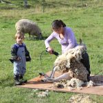 Savor the San Juans Orcas Farm Tour by Lisette Wolter McKinley.