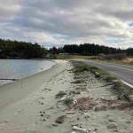 Mackaye Harbor Road.