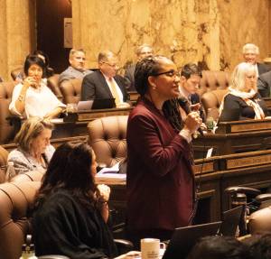 Mary Feusner photo.
Rep. April Burg debates the operating budget on the House floor, March 31.
