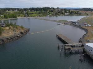 Photo by Conor Barnes, program manager for Leading Edge Environmental and Emergency Services.