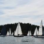 Peg Gerlock photo.
Pulelehua pulls surprise maneuver.