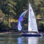 Sue Corenman.
Purple Martin.