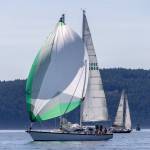 Sue Corenman photo.
Spinnakers Fly.