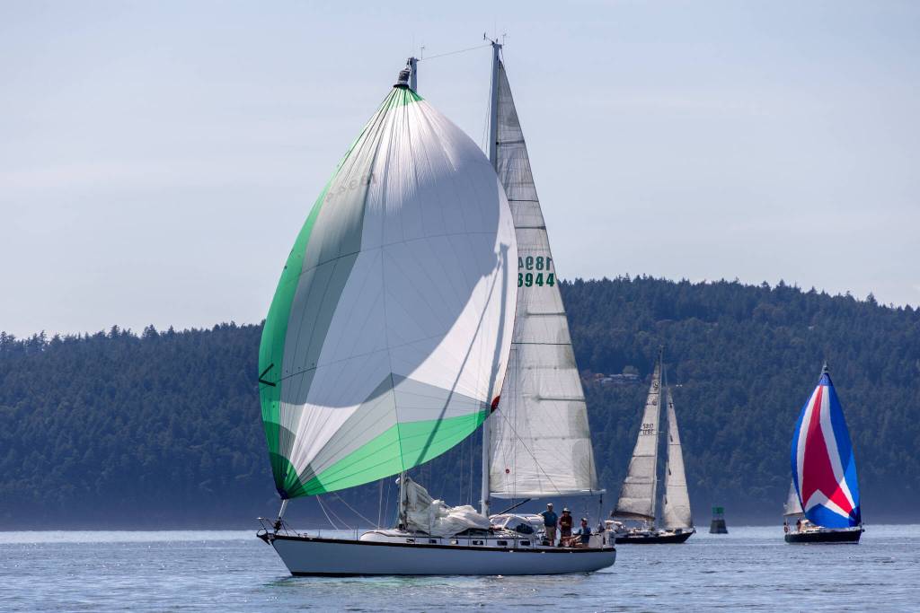 Sue Corenman photo.
Spinnakers Fly.